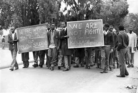  The Soweto Uprising: A Testament to Youthful Resilience Against Apartheid